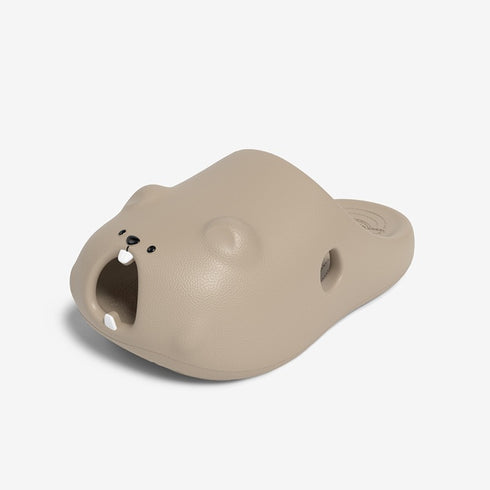 Gopher Slides